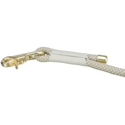 Beige Hundeleine mit goldfarbenem Karabinerhaken und Textilgriff, geflochtenes Design.