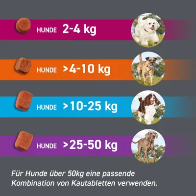 Frontpro Kautablette gegen Zecken und Flöhe, für Hunde >25 bis 50 kg