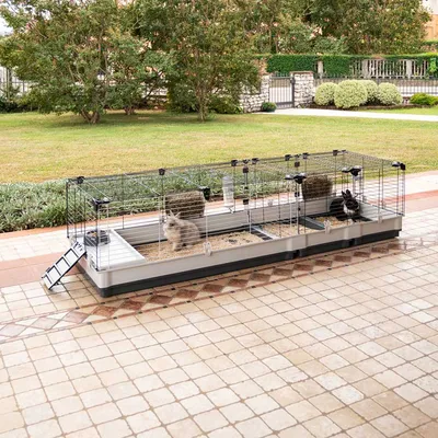 Grande cage en métal et plastique pour rongeurs ou lapins, divisée en deux compartiments, avec trois lapins visibles à l’intérieur, abreuvoir et mangeoire inclus.