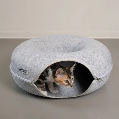 Cama cinzenta para gatos em feltro com fecho, modelo Modern Living. Gato a olhar pela abertura.