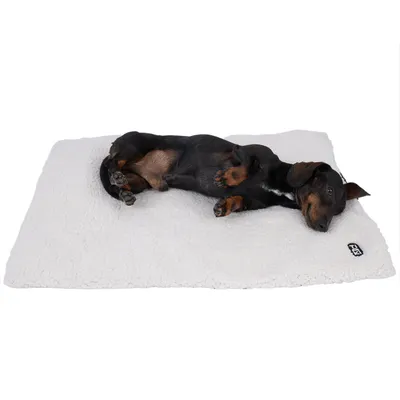 Dog lying on white, fluffy mat with visible logo in the corner.