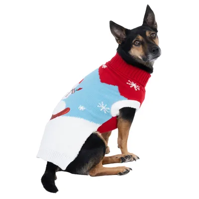 Hund trägt einen gestrickten Pullover mit Schneeflocken-Motiv in Rot, Blau und Weiss. Produkt zeigt Design und Passform des Hundepullovers.