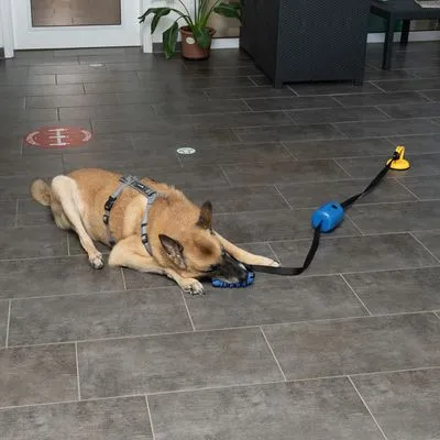 Nomad Tales Spirit игрушка-перетягиватель с дозатором лакомств