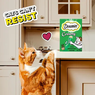 Cat reaching for Dreamies Creamy with irresistible catnip, 4 x 10g. Text reads 'Cats can't resist'.