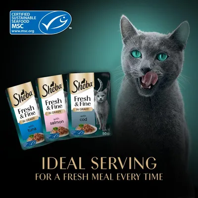 Megabalení Sheba Fresh & Fine čerstvé kapsičky 50 ks (50 x 50 g) - s treskou, lososem a tuňákem v omáčce Megabalení Sheba Fresh & Fine čerstvé kapsičky 50 ks (50 x 50 g) - s treskou, lososem a tuňákem v omáčce
