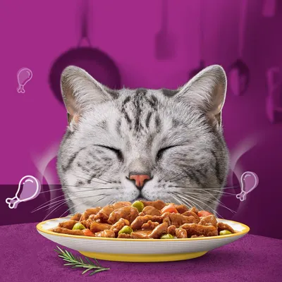 Image shows a close-up of a cat with eyes closed behind a plate of meat chunks and vegetables, suggesting enjoyment of the food. Chicken drumstick icons are visible around the cat.