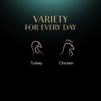VARIETY FOR EVERY DAY. Turkey, Chicken feliratok és stilizált pulyka, csirke rajzok. Az angol szöveg a képen szerepel.