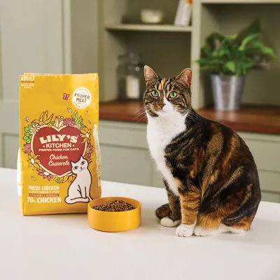 Chat assis à côté d’un paquet de croquettes Lily’s Kitchen Chicken Casserole pour chats adultes, bol jaune rempli de croquettes visible devant le paquet.