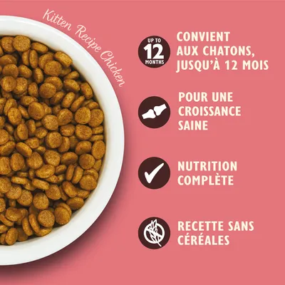 Croquettes dans un bol blanc, texte visible : Kitten Recipe Chicken, convient aux chatons jusqu’à 12 mois, pour une croissance saine, nutrition complète, recette sans céréales.