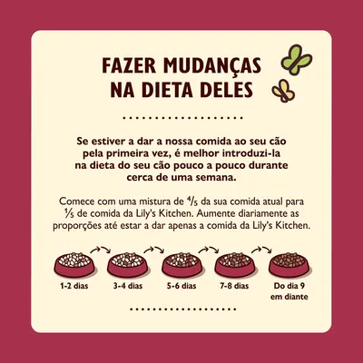 Instruções para mudar a dieta do cão: introduzir comida Lily's Kitchen gradualmente durante uma semana, aumentando a proporção diariamente até ao dia 9 em diante. Inclui ilustrações dos passos.