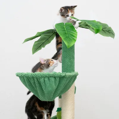 Krabpaal met groen stoffen design, bladdecoratie en sisal stam. Twee katten spelen op verschillende niveaus van de krabpaal.