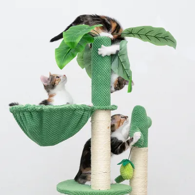 Krabpaal met groene stof, sisalpalen, hangmat en speelgoed. Drie kittens spelen erop, één klimt aan een paal, een ander ligt in de hangmat.