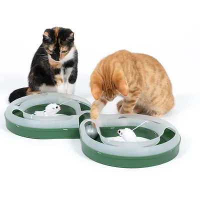 Dos gatos juegan con un juguete interactivo verde que contiene imitaciones de ratón blanco y una bola.