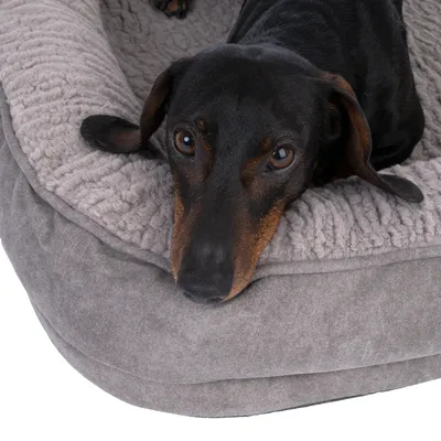Hond ligt op een grijs, zacht hondenbed met pluche bekleding.
