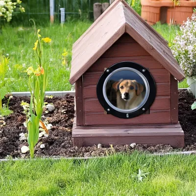 Caseta de madera para perros con ventana redonda, situada en un jardín con flores y césped.