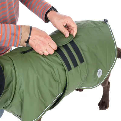 Manteau vert pour chien avec fermeture à scratch, personne ajustant la sangle sur le dos du chien. Trois bandes noires visibles et liseré réfléchissant sur le manteau.