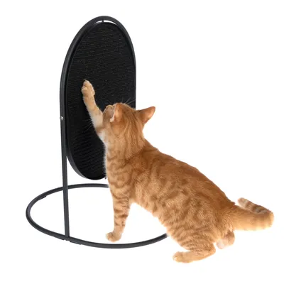 Orangefarbene Katze benutzt einen stehenden, ovalen Kratzbaum mit schwarzer Kratzfläche und Metallrahmen.