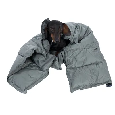 Sort og brun gravhund ligger i en grå, quiltet hundesovepose af stof med synlige lynlåsdetaljer. Mærketiketten er synlig i hjørnet.