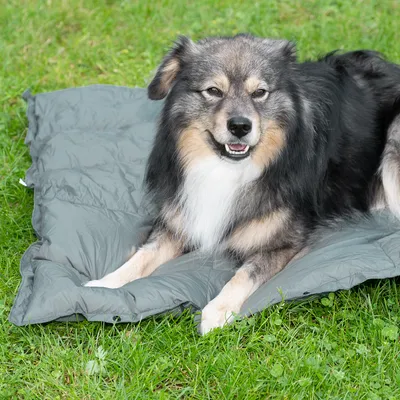 Graue Hundedecke auf grünem Gras, geeignet als Outdoor-Liegefläche.