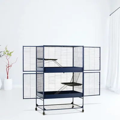 Grande cage en métal bleu à deux niveaux avec rampes et plateformes, portes ouvertes, sur roulettes. Convient pour rongeurs ou petits animaux, accessoires non inclus visibles.