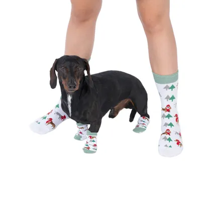 Hund och person bär matchande strumpor med julmotiv, inklusive granar och hundar. Produkten visar design för människa och djur.