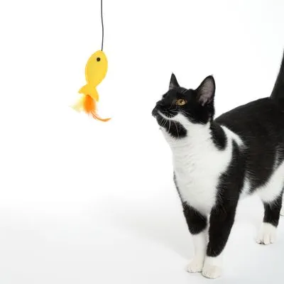 TIAKI висяща играчка с рибка за котки TIAKI висяща играчка с рибка за котки