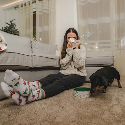 Petit chien noir reniflant une gamelle décorée de motifs animaux sur un tapis, à côté d’une personne assise au sol devant un canapé gris.
