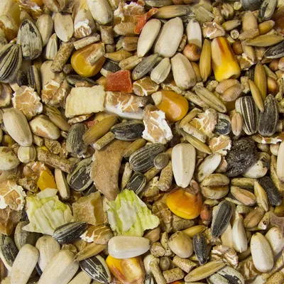 Primo piano di diversi cereali, semi e ingredienti essiccati come semi di girasole, pezzi di mais e cereali. Miscela per mangime per animali.