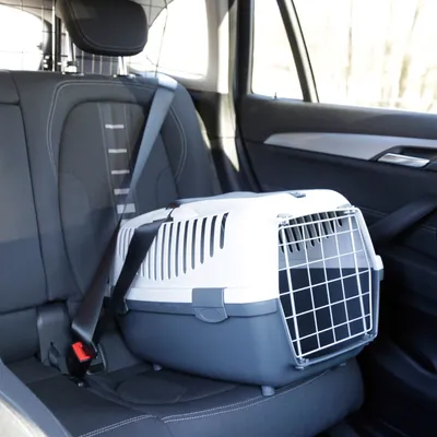 Transportbox met traliedeur, vastgezet met veiligheidsgordel op autostoel. Geschikt voor veilig vervoer van dieren in het voertuig.