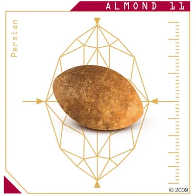 Single almond-shaped kibble shown with geometric diagram and measurement scale, labelled 'Persian' and 'Almond 11'.