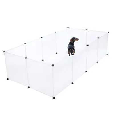 Transparentes Gehege mit schwarzen Verbindungselementen, darin ein kleiner Hund stehend.