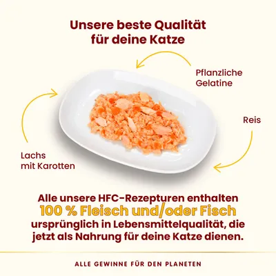 HFC-Rezeptur für Katzen: Lachs mit Karotten, Reis und pflanzlicher Gelatine. 100% Fleisch und/oder Fisch in Lebensmittelqualität. Alle Gewinne für den Planeten.