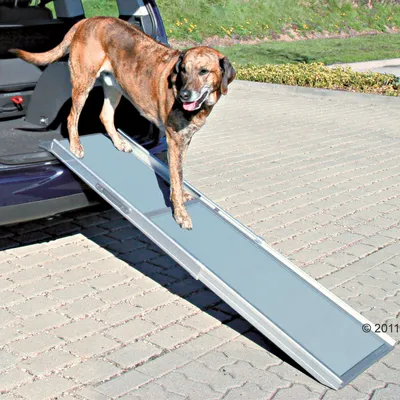 Hond loopt op een grijze hondenloopplank van metaal tussen de achterbak van een auto en de stoep. Plank heeft antislip oppervlak.