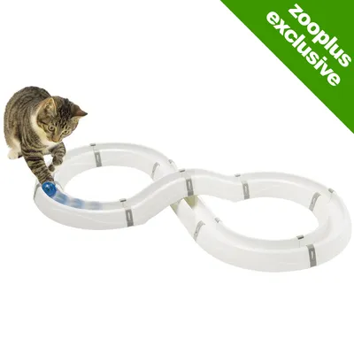 Tabby cat playing with a blue ball in a white plastic figure-eight track. Green corner badge reads 'zooplus exclusive'.