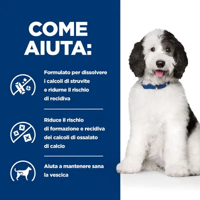 COME AIUTA: Formulato per dissolvere i calcoli di struvite e ridurne il rischio di recidiva. Riduce il rischio di formazione e recidiva dei calcoli di ossalato di calcio. Aiuta a mantenere sana la vescica.