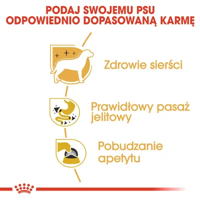 Podaj swojemu psu odpowiednio dopasowaną karmę. Zdrowie sierści, prawidłowy pasaż jelitowy, pobudzanie apetytu – widoczne zalety na ilustracji.