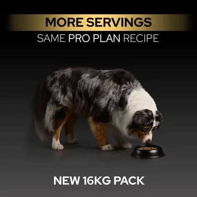 Flere portioner, samme Pro Plan opskrift, ny 16-kg-pakke. Hund spiser af skål.