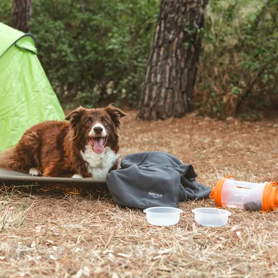 Hund liegt auf einer Matte neben Nomad Tales Decke, zwei Futterschalen und einem orangefarbenen Futterbehälter im Freien vor einem Zelt.