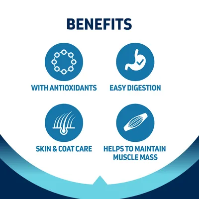 Text på engelska: Benefits. With antioxidants, easy digestion, skin & coat care, helps to maintain muscle mass.