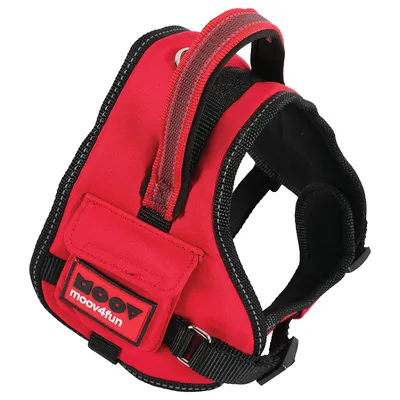 Rotes Geschirr mit schwarzem Rand und Griff, Marke moov4fun, sichtbare Schnallen und Tasche.