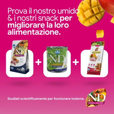 N&D Tropical Selection crocchette, N&D Prime alimento umido agnello & mirtillo e Dental Treat. Sviluppato scientificamente per una nutrizione ottimale.