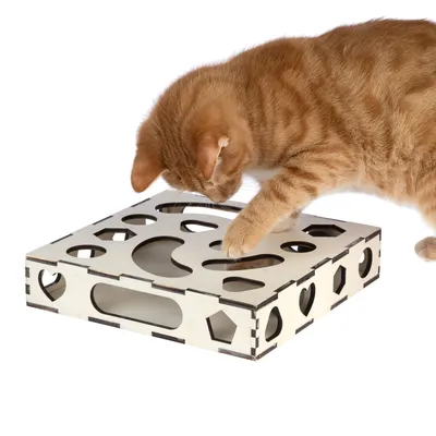 Chat roux utilisant un jeu d’intelligence en bois avec plusieurs ouvertures de formes variées sur le dessus et les côtés.