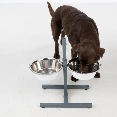 Brauner Hund trinkt aus einer erhöhten Doppelnapfstation mit zwei Edelstahl-Näpfen und verstellbarem Metallgestell.