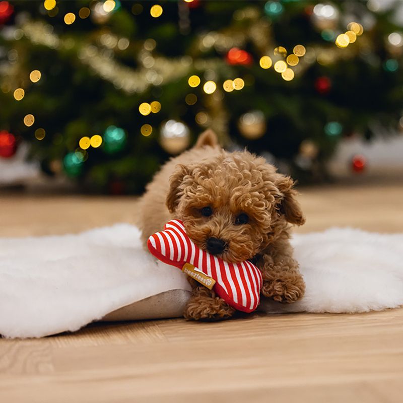 beeztees Hundespielzeug Weihnachtsknochen, rot