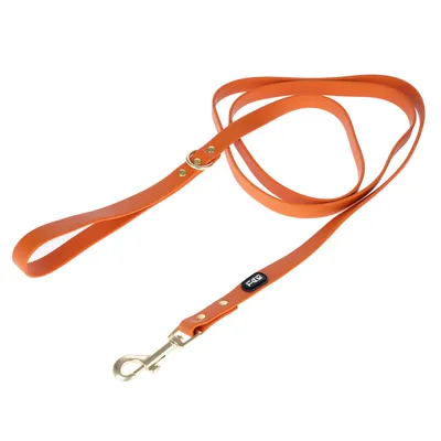 Oranje hondenriem met metalen karabijnhaak en Flectit-logo, verstelbaar met goudkleurige klinknagels.