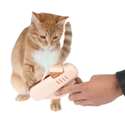 Spielzeug mit Federaufsatz, das von einer Hand gehalten wird. Eine orangefarbene Katze interagiert neugierig mit dem Spielzeug.