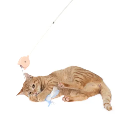 Play rod with feather pendant, orange reel and beige cord. Cat lying down playing with the feather pendant.