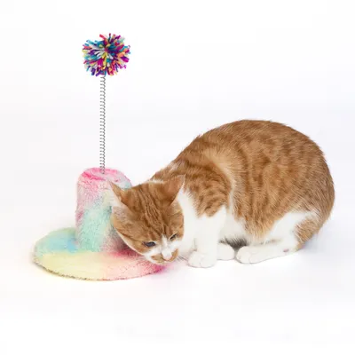 Katzenspielzeug mit bunter Plüschbasis und Federstab, an dessen Spitze ein mehrfarbiger Pompon befestigt ist. Eine rot-weisse Katze interagiert mit dem Spielzeug.