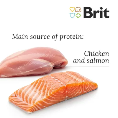 Brit Care sopa para gatos 15 x 75 g