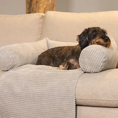Dog lying on a light grey, ribbed sofa protector with integrated armrest.